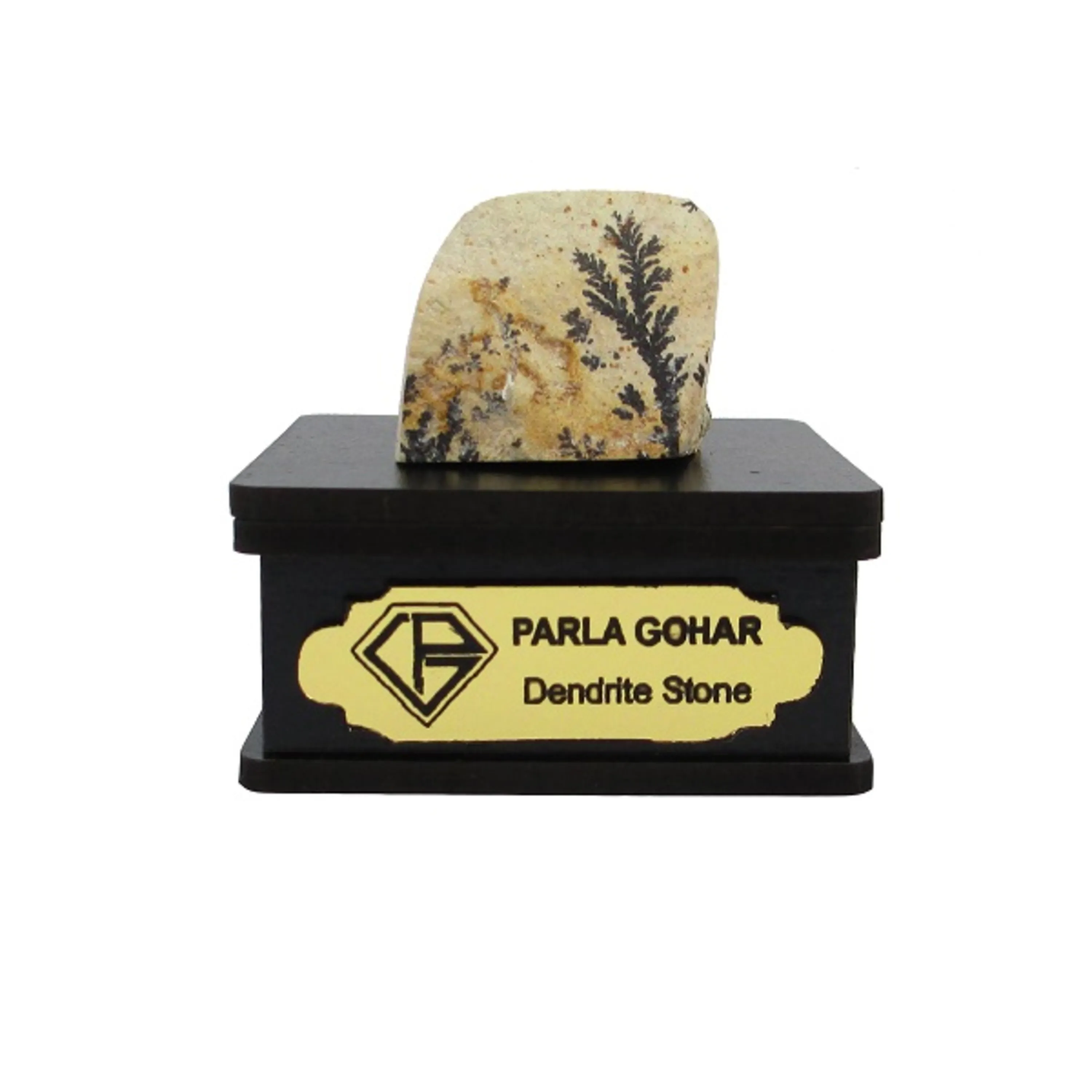 شجر راف کد 2337